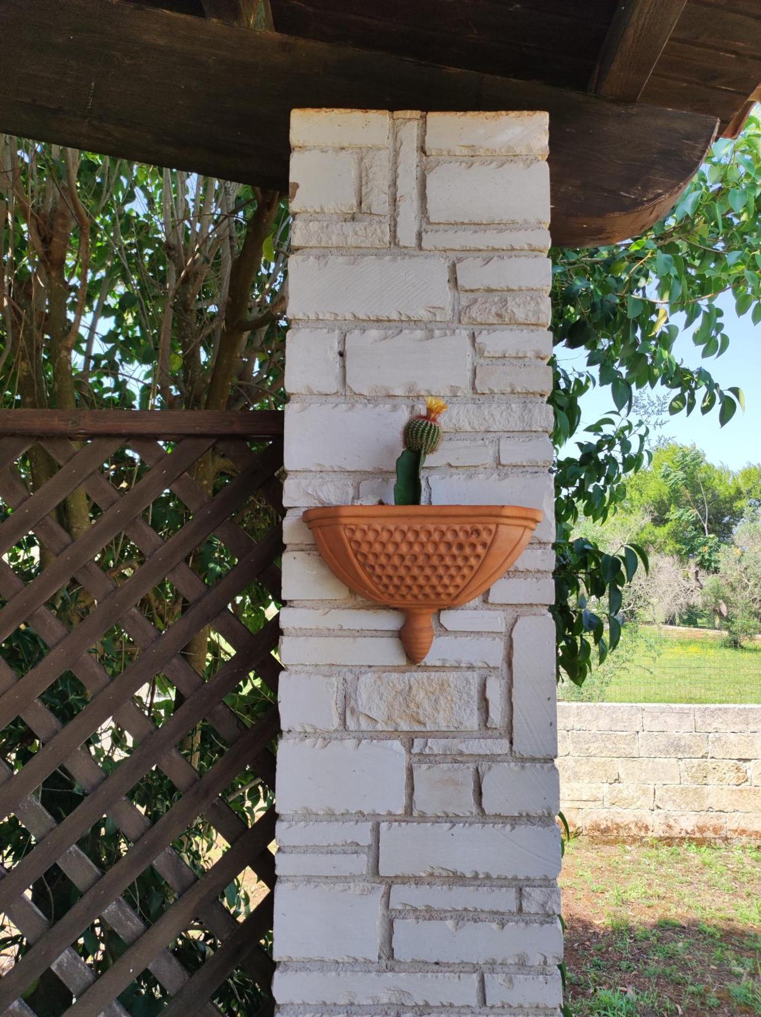 טריקאסה Contrada Macchia B&B מראה חיצוני תמונה
