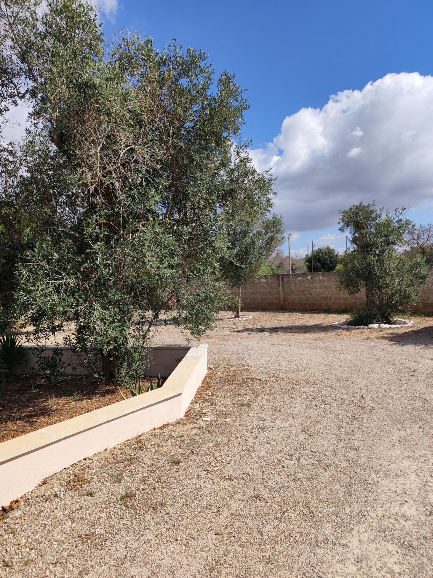 טריקאסה Contrada Macchia B&B מראה חיצוני תמונה