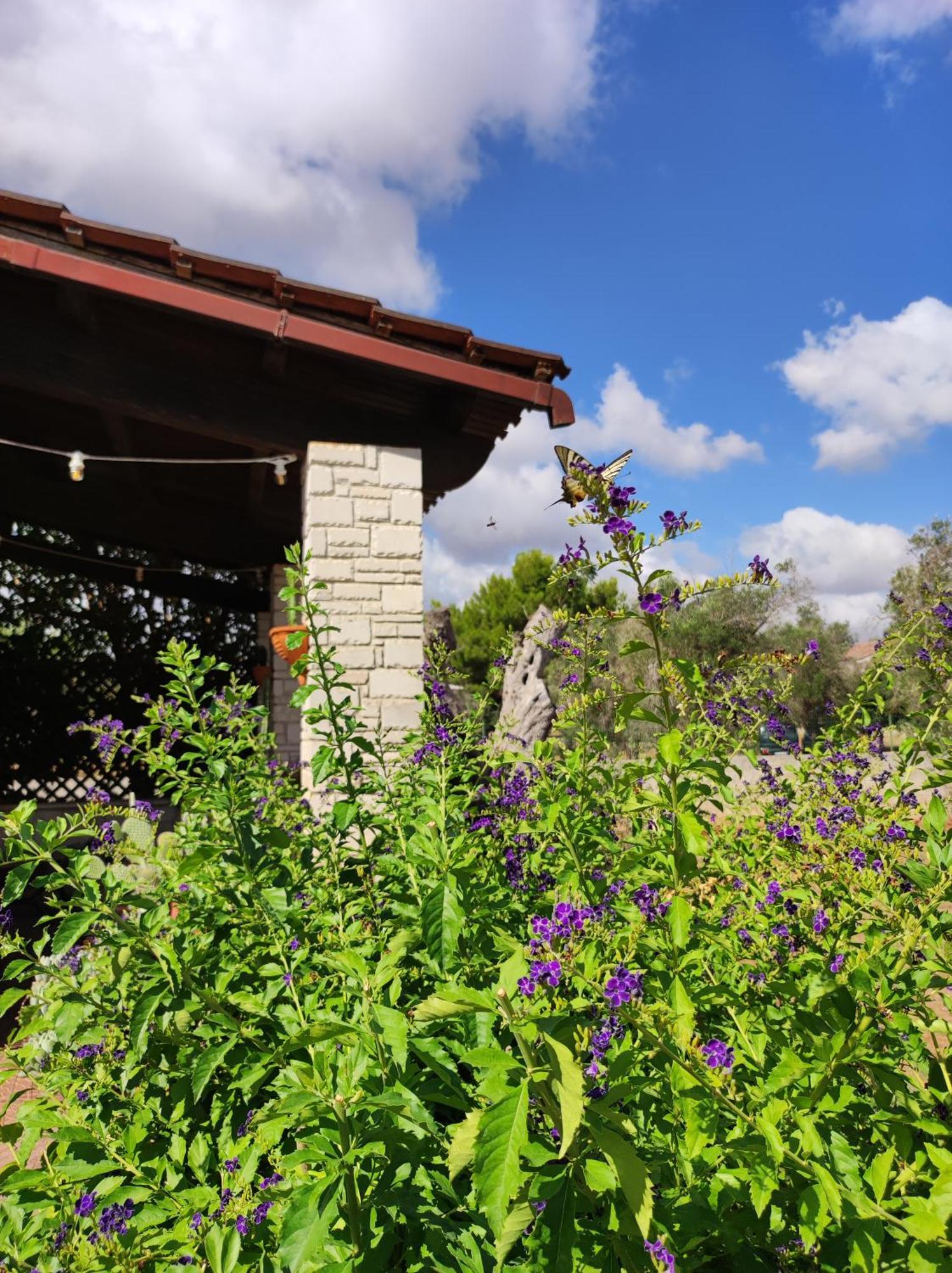 טריקאסה Contrada Macchia B&B מראה חיצוני תמונה