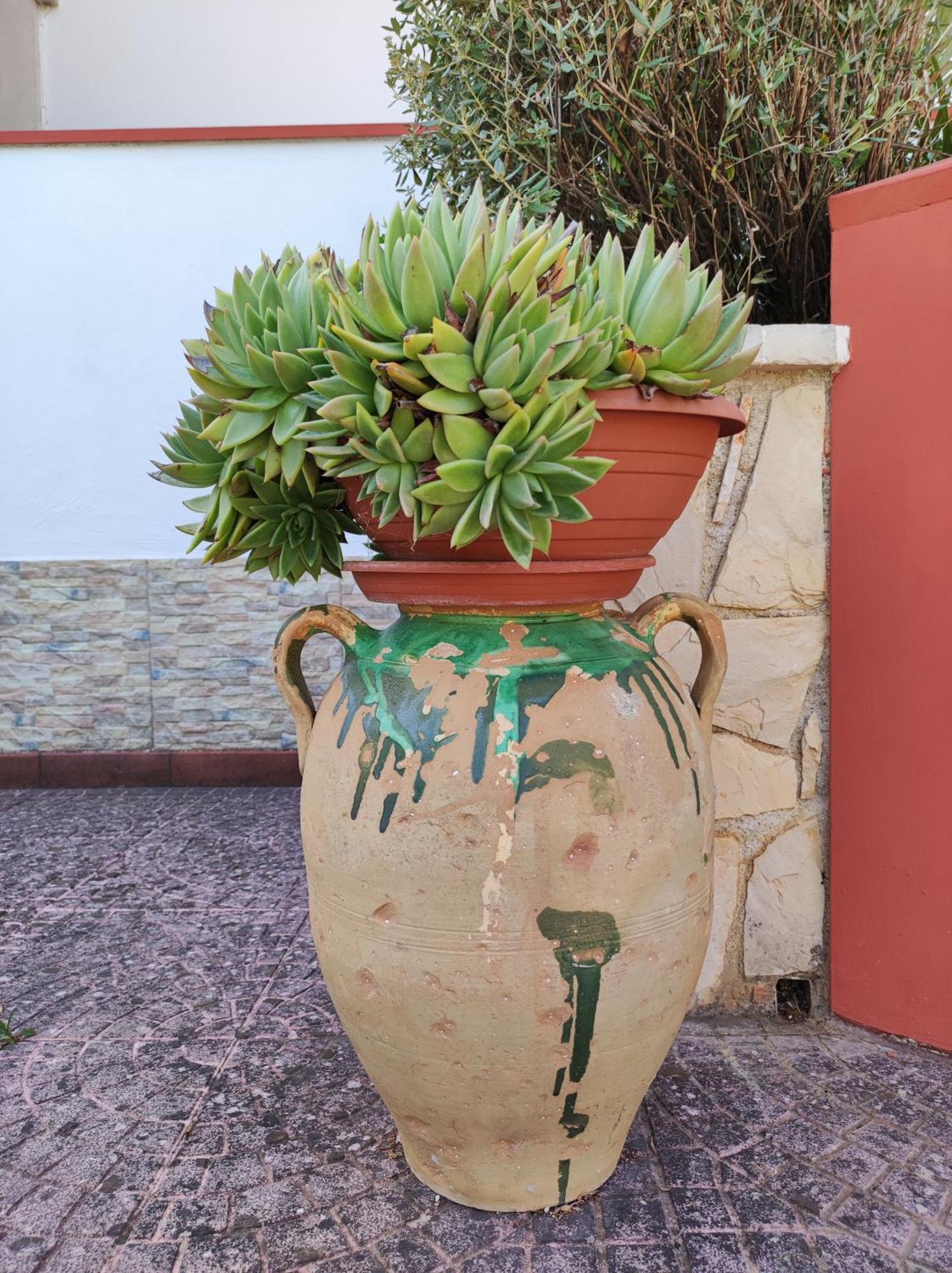 טריקאסה Contrada Macchia B&B מראה חיצוני תמונה