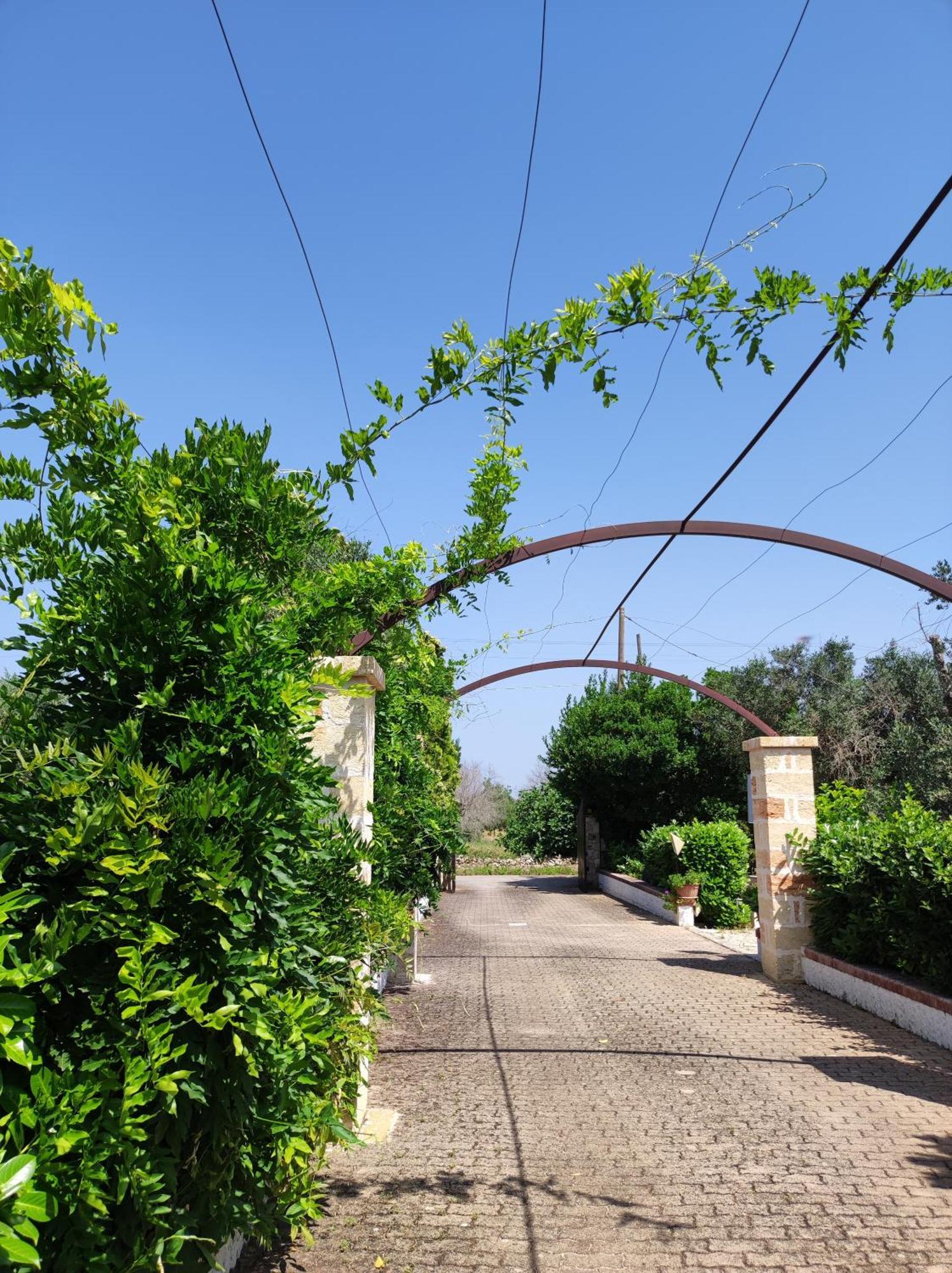 טריקאסה Contrada Macchia B&B מראה חיצוני תמונה