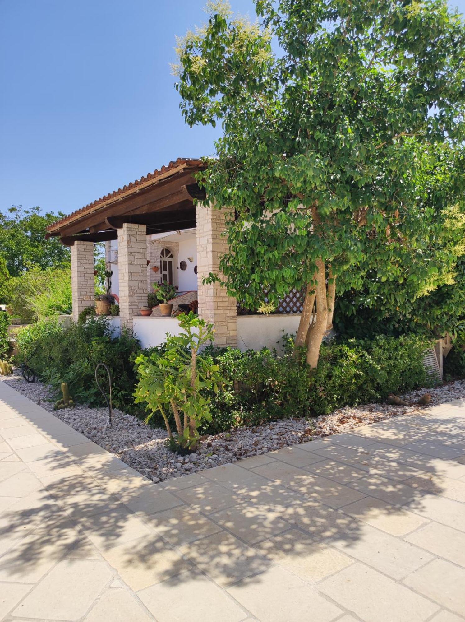 טריקאסה Contrada Macchia B&B מראה חיצוני תמונה