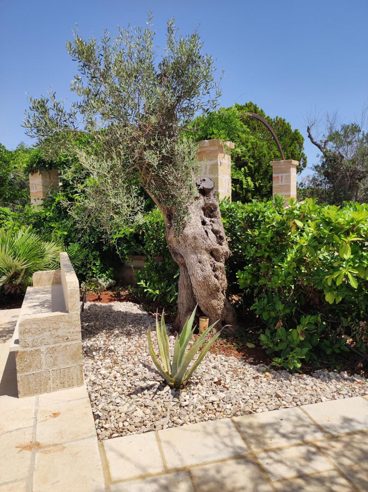 טריקאסה Contrada Macchia B&B מראה חיצוני תמונה