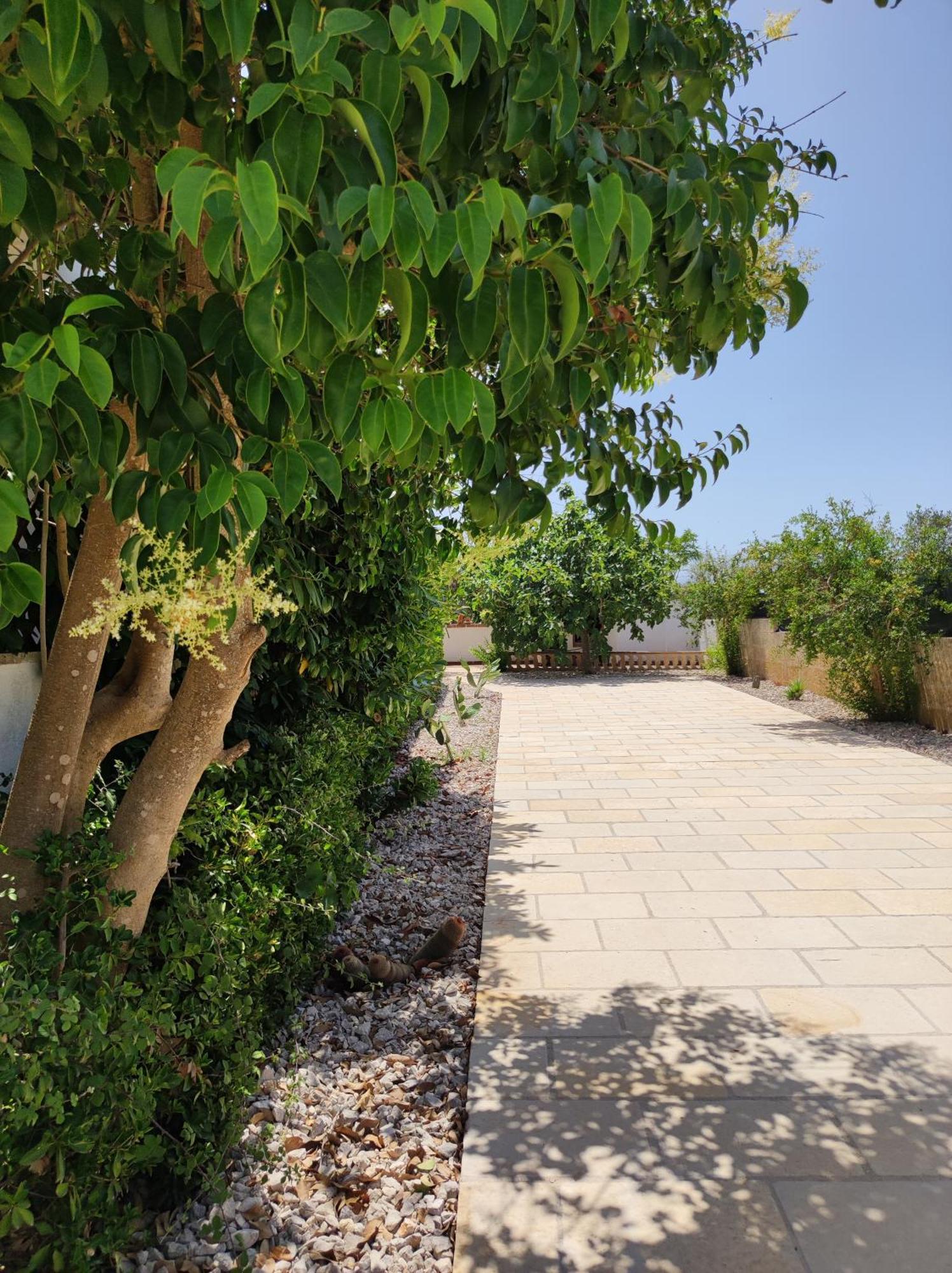 טריקאסה Contrada Macchia B&B מראה חיצוני תמונה