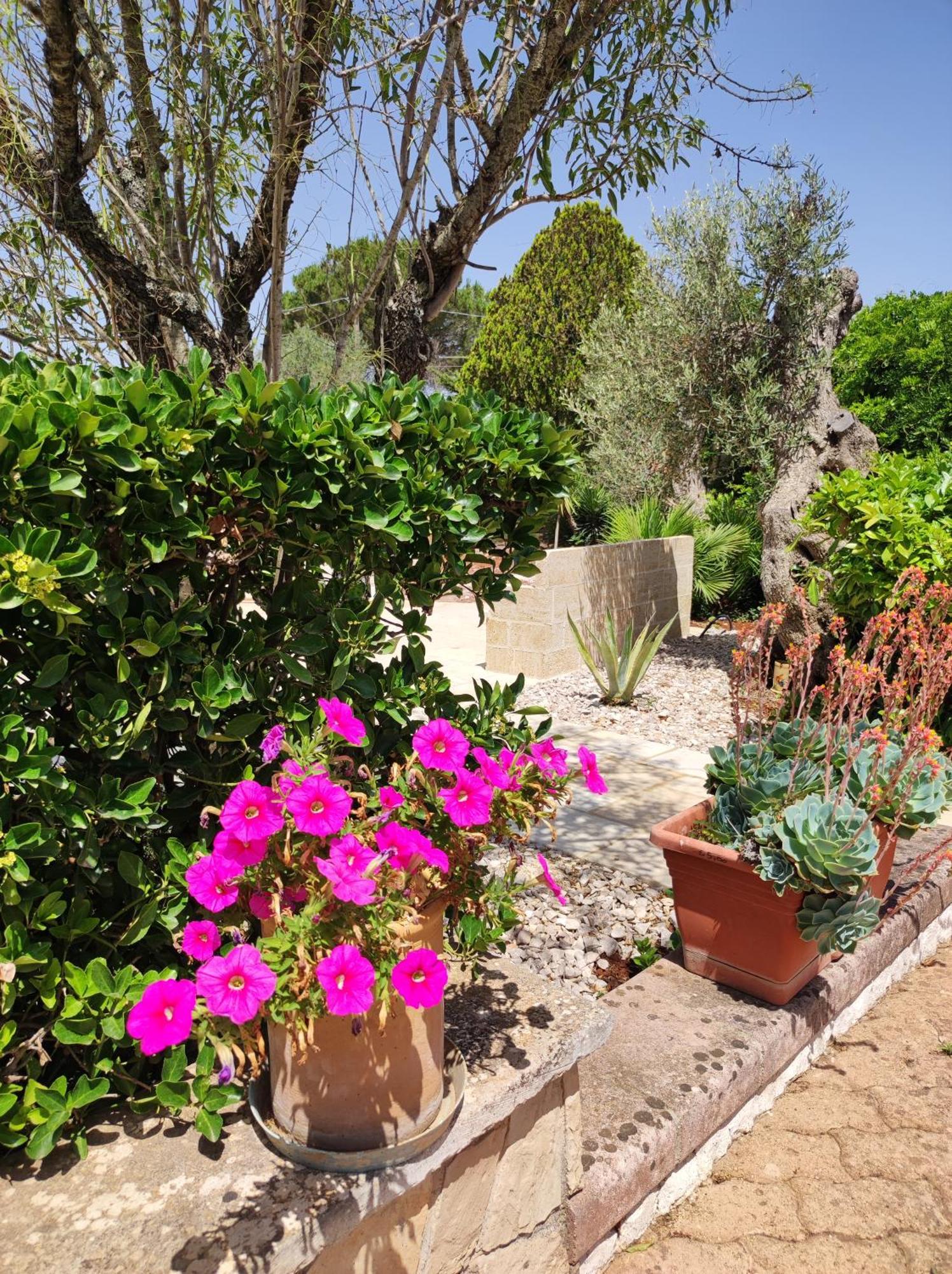 טריקאסה Contrada Macchia B&B מראה חיצוני תמונה
