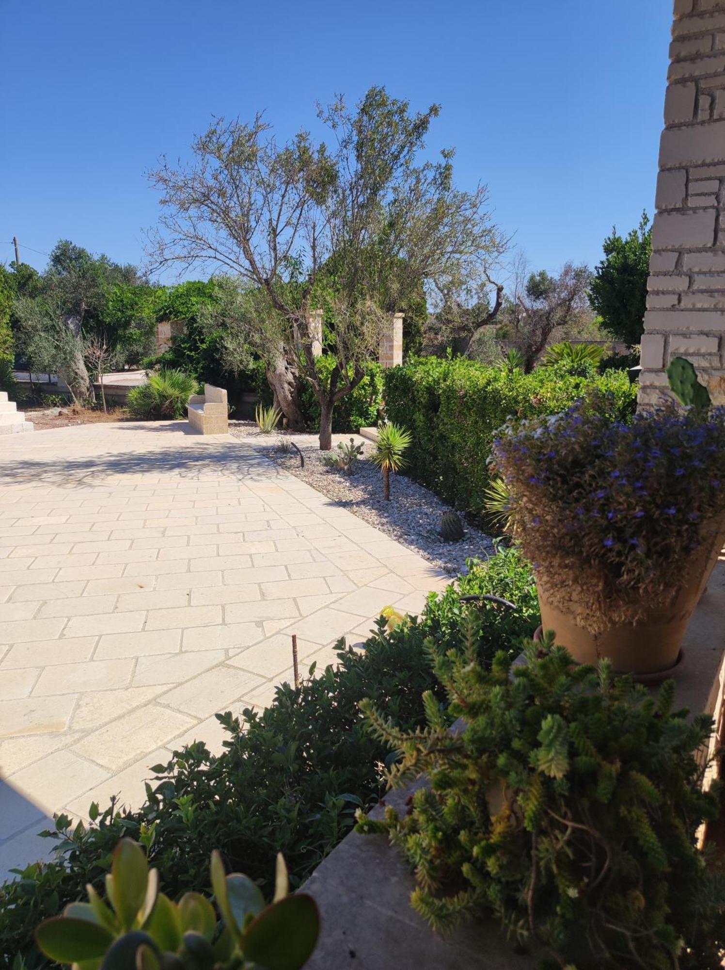 טריקאסה Contrada Macchia B&B מראה חיצוני תמונה