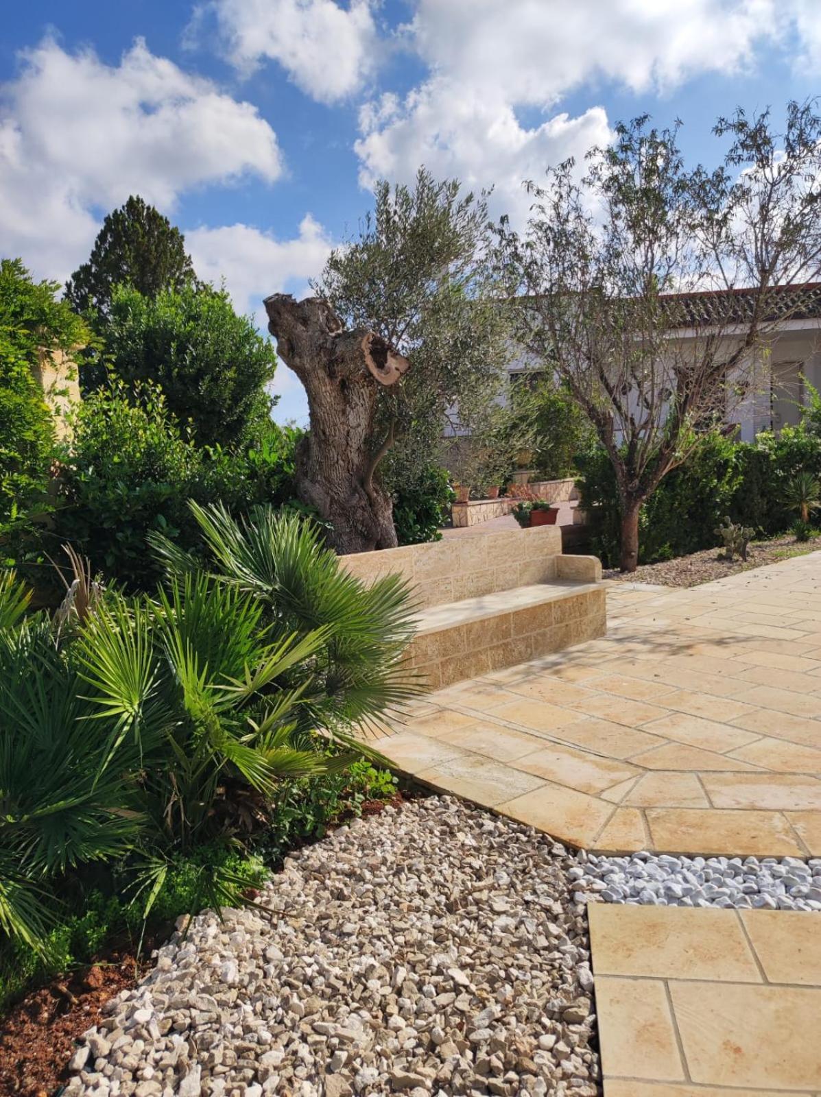 טריקאסה Contrada Macchia B&B מראה חיצוני תמונה